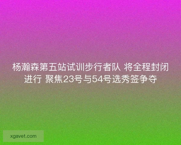 杨瀚森第五站试训步行者队 将全程封闭进行 聚焦23号与54号选秀签争夺