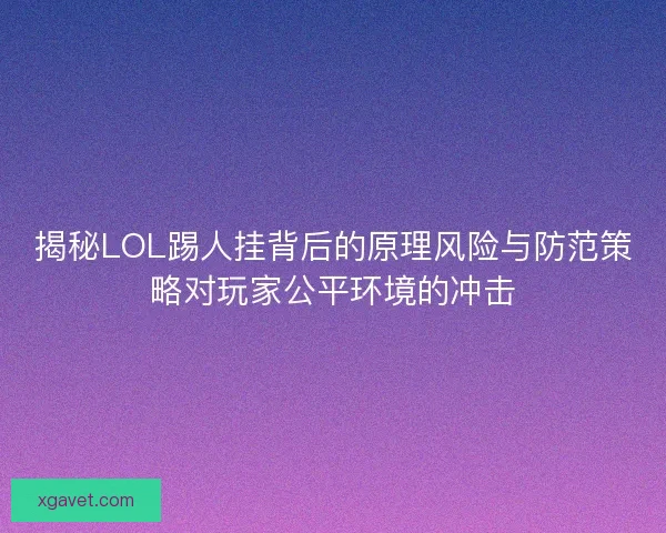 揭秘LOL踢人挂背后的原理风险与防范策略对玩家公平环境的冲击