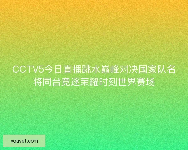 CCTV5今日直播跳水巅峰对决国家队名将同台竞逐荣耀时刻世界赛场