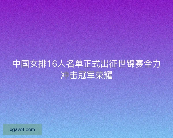 中国女排16人名单正式出征世锦赛全力冲击冠军荣耀