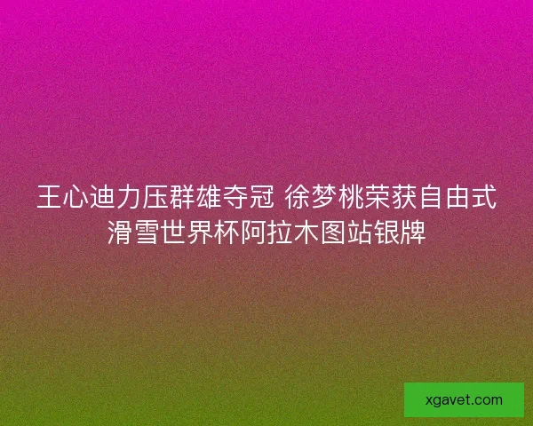 王心迪力压群雄夺冠 徐梦桃荣获自由式滑雪世界杯阿拉木图站银牌