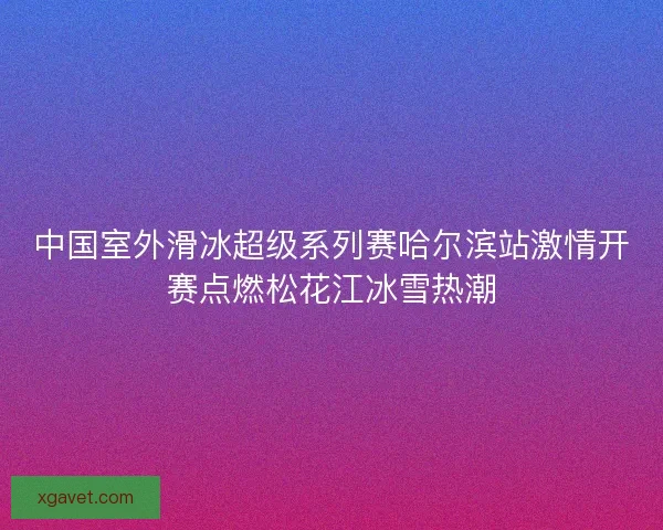 中国室外滑冰超级系列赛哈尔滨站激情开赛点燃松花江冰雪热潮